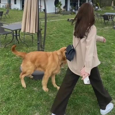 黑道之家
