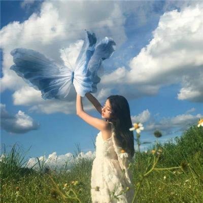 百变智多星