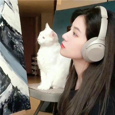 花月良宵